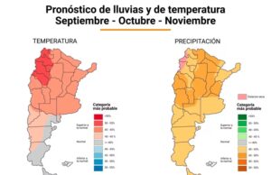 El informe trimestral del Servicio Meteorológico Nacional (Fuente SMN/ Infografía: Marcela Piarristeguy)