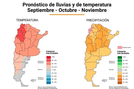 El informe trimestral del Servicio Meteorológico Nacional (Fuente SMN/ Infografía: Marcela Piarristeguy)