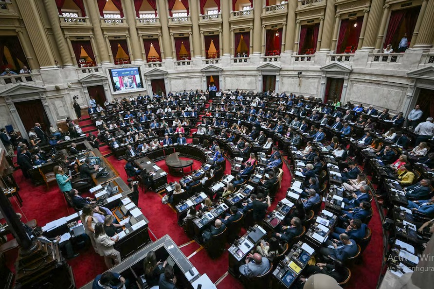 Cruces y tensiones en el debate exprés en Diputados (LUIS ROBAYO/AFP)