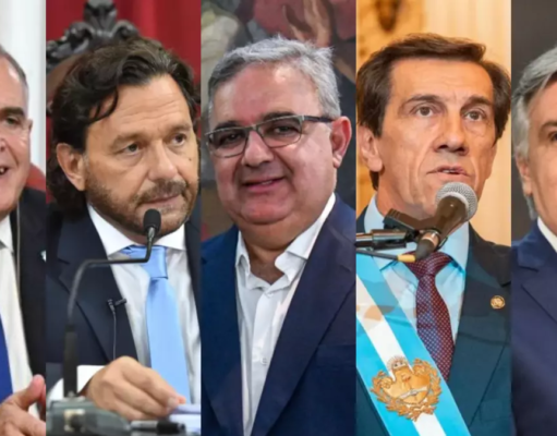 Crisis fiscal y alianzas estratégicas: gobernadores dialoguistas entre el ajuste y el apoyo a Javier Milei