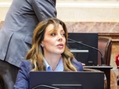Biocombustibles: Royón defendió la nueva ley y la transición hasta 2036
