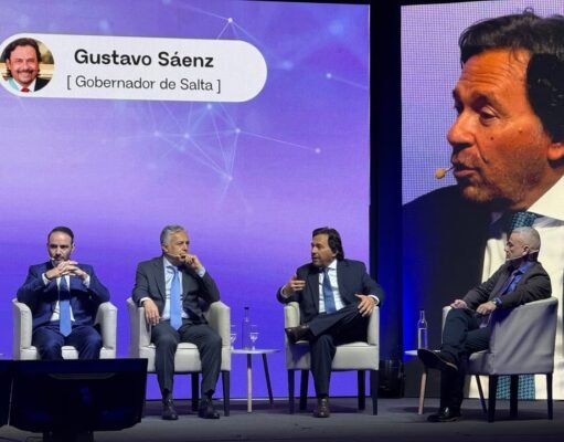 Sáenz en su exposición. Foto: Agencia NA