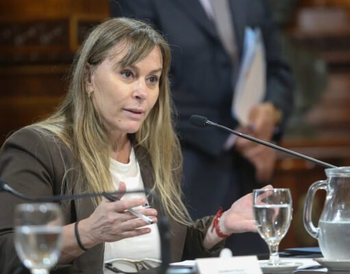 Proponen derogar el artículo 154 del DNU 70/23 y restituir la Ley de Tierras