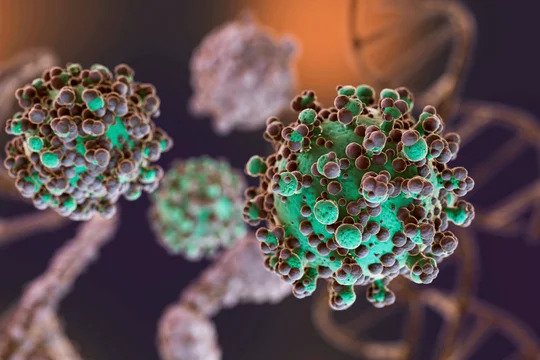 hantavirus